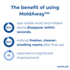 Last Day 50% OFF | MoldAway™ Mold Remover Spray