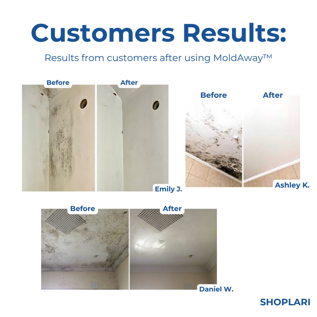 Last Day 50% OFF | MoldAway™ Mold Remover Spray