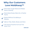Last Day 50% OFF | MoldAway™ Mold Remover Spray