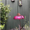Coneflower Bird Feeder
