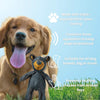 TuffChew™ Durable Chew Toy