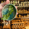 HerbEase™ Pottery Herb Stripper