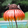 Coneflower Bird Feeder