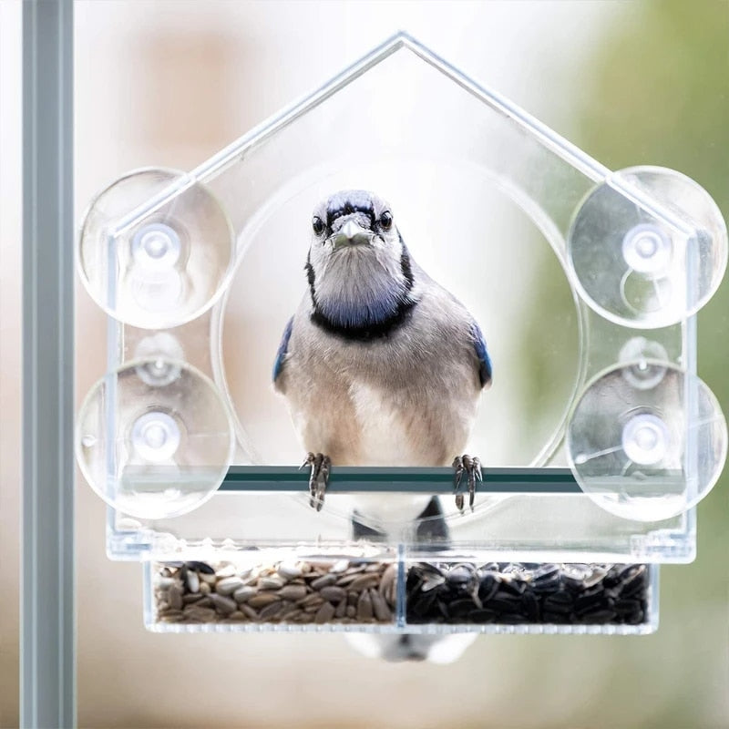 ClearNest™ Window Bird Feeder