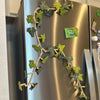 50% OFF🔥 I LeafLink™ Ivy Fridge Magnets