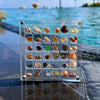 Acrylic Shell Display Box